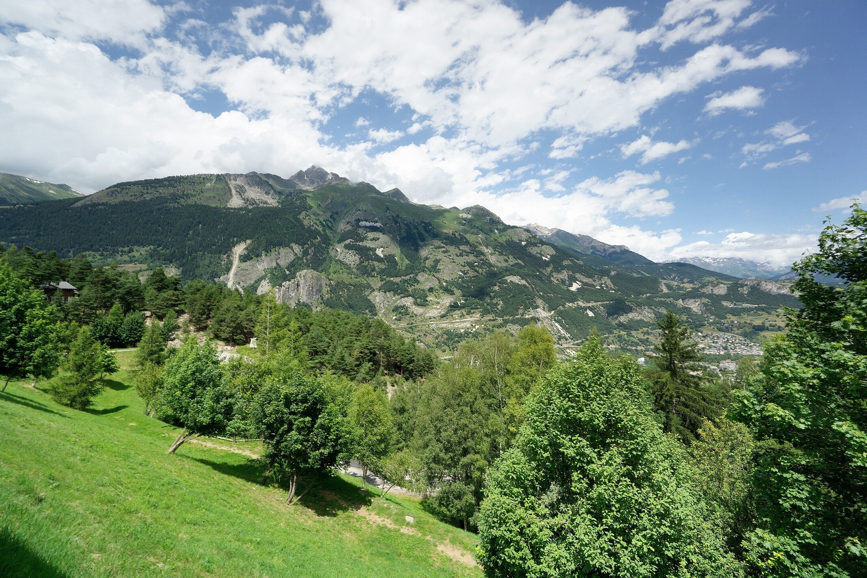 A mountainous landscape with a valley and scattered trees.