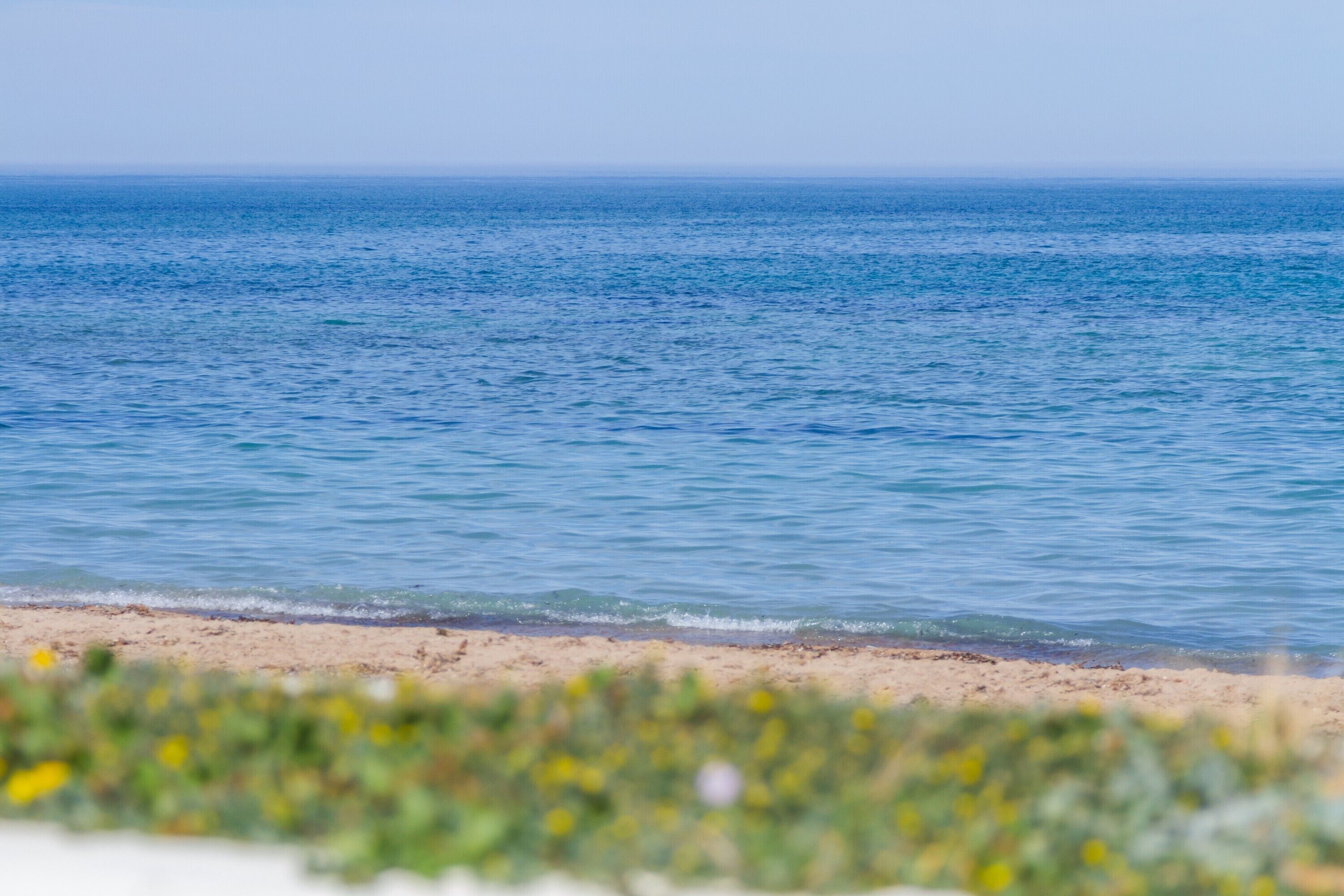 Ein Strand mit klarem, blauem Wasser und einem sandigen Ufer.