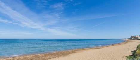 在海灘附近