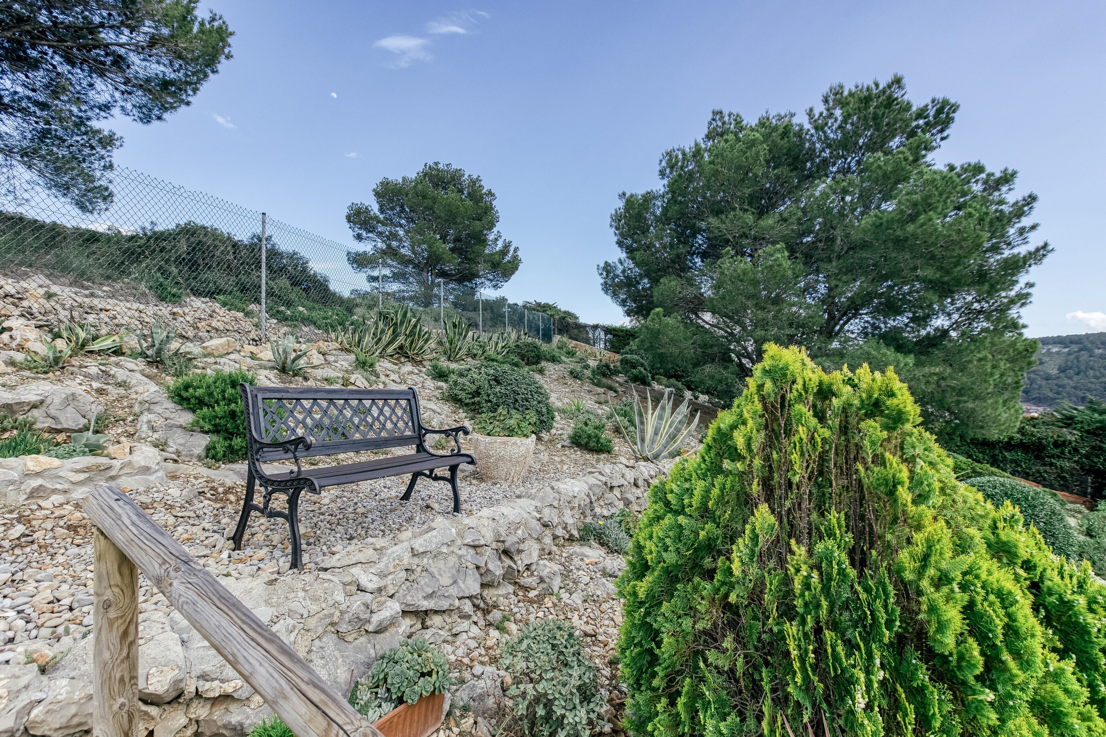 A bench, a wooden fence, and a variety of plants in a landscaped outdoor area.