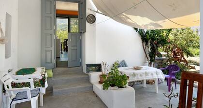 Holiday Home 'Livadi House Amorgos' with Sea View, Wi-Fi and Air Conditioning
