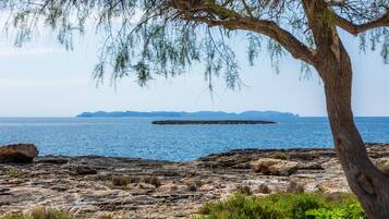 Une côte rocheuse, avec un arbre au premier plan et une île lointaine visible sur l’eau.