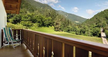 Apartment 'Oberbodnerhof' with Mountain View, Private Terrace and Wi-Fi