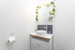 Shower, hair dryer, towels - L'Oranger room with shared garden, Wi-Fi and air conditioning (Perpignan)