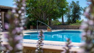A swimming pool with a stone wall and a tree in the background.