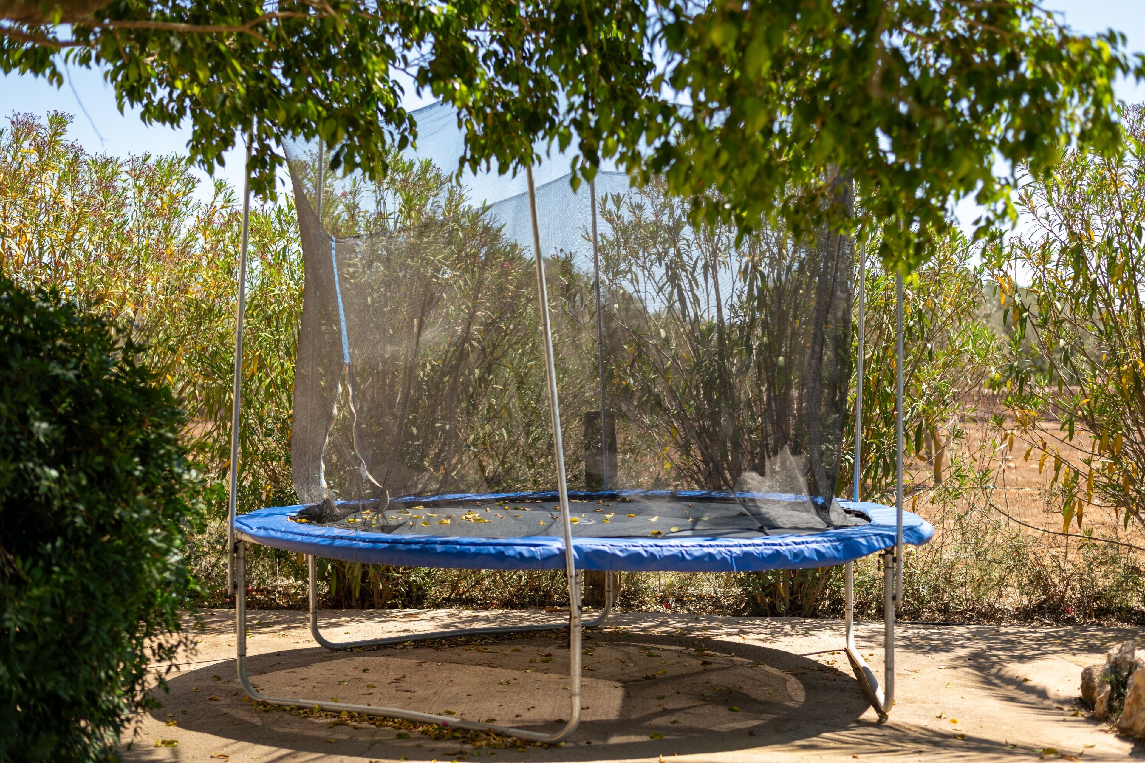 Área da propriedade