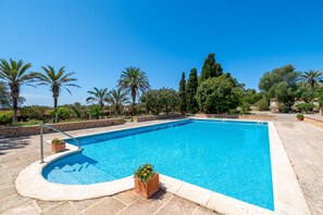 A rectangular swimming pool with a stone border, surrounded by palm trees and other greenery.