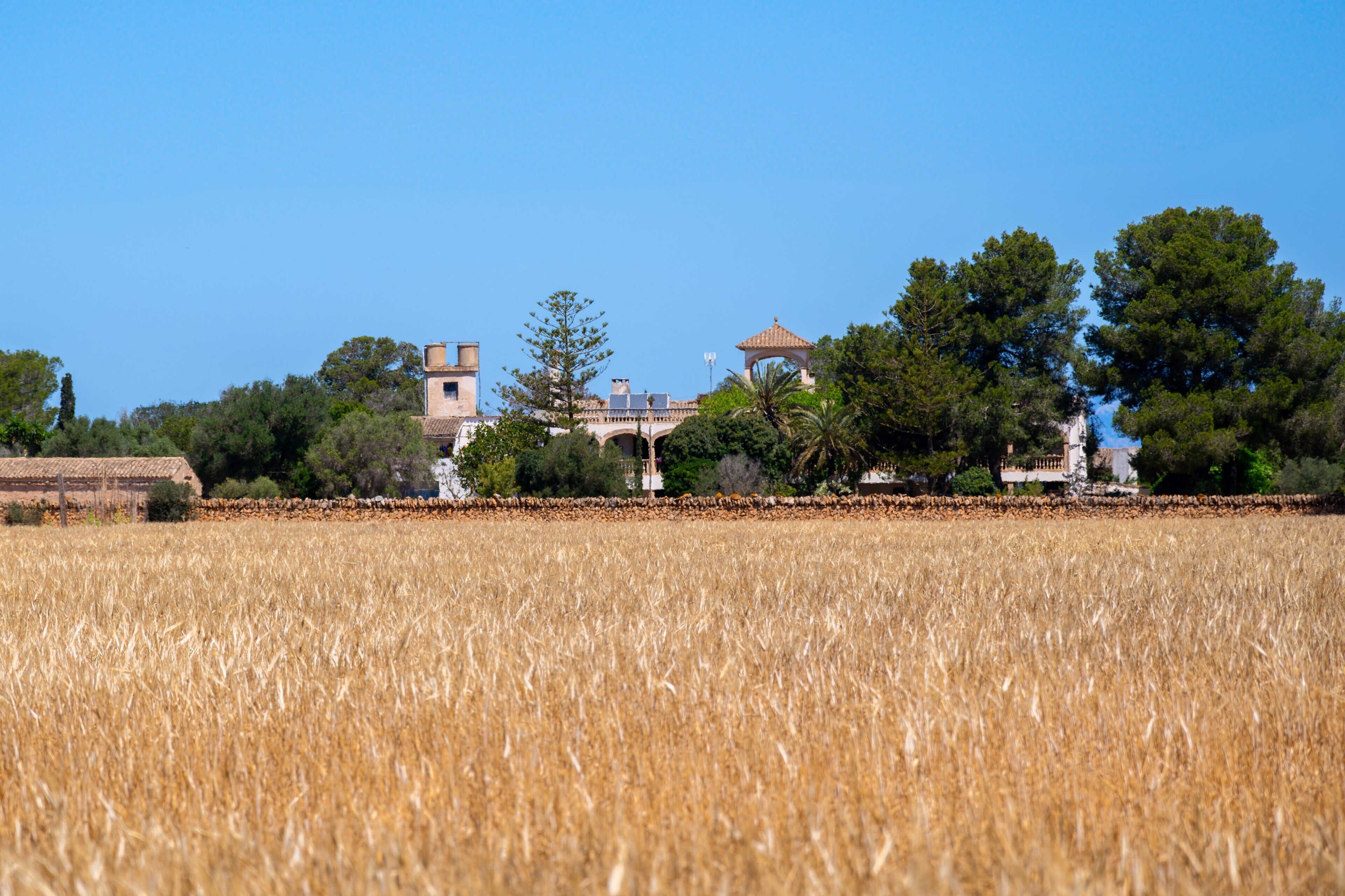 A field with a building in the background.