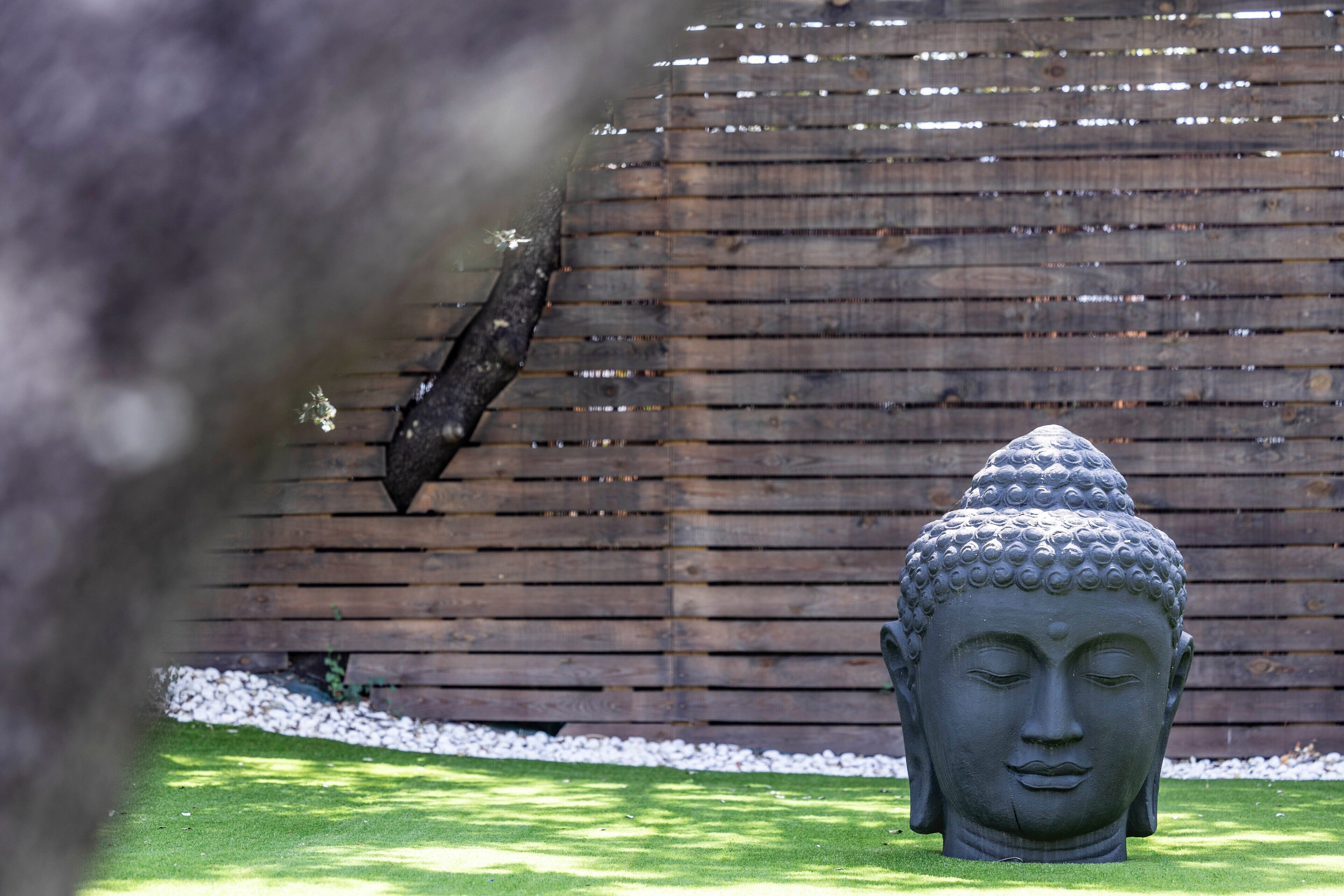A Buddha statue in a garden with a wooden fence and gravel path.