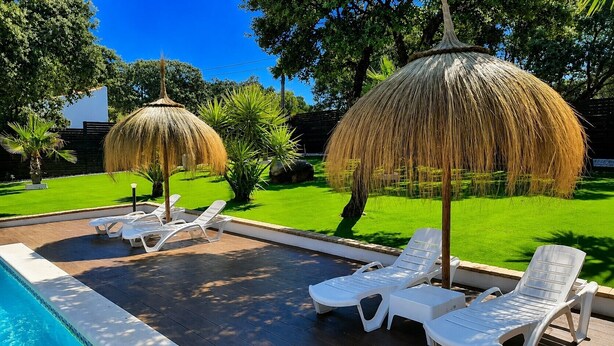 Une piscine dotée de chaises longues et de parasols en chaume.