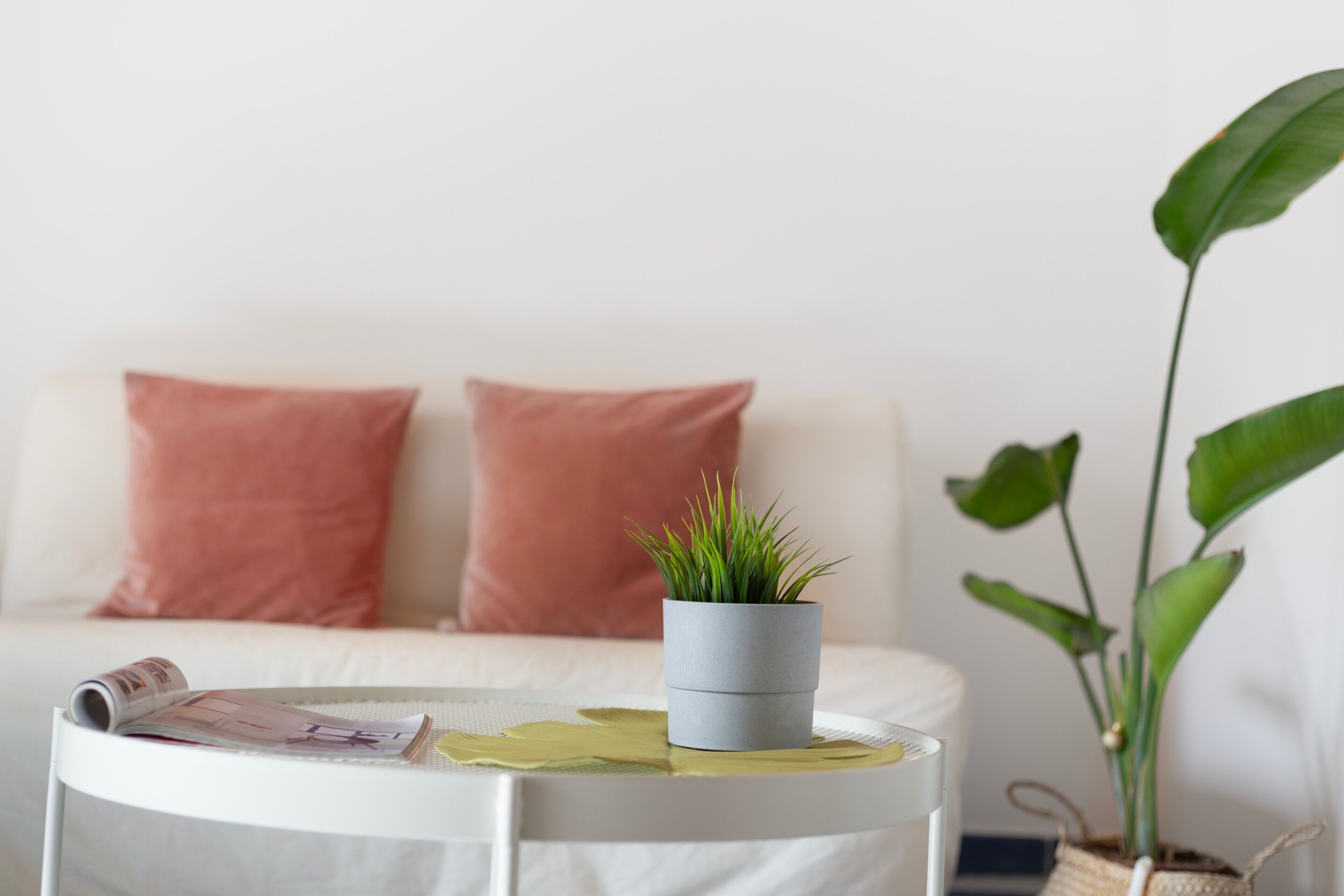 A white sofa with two pink cushions, a small round table with a plant and a magazine, and a larger potted plant to the side.