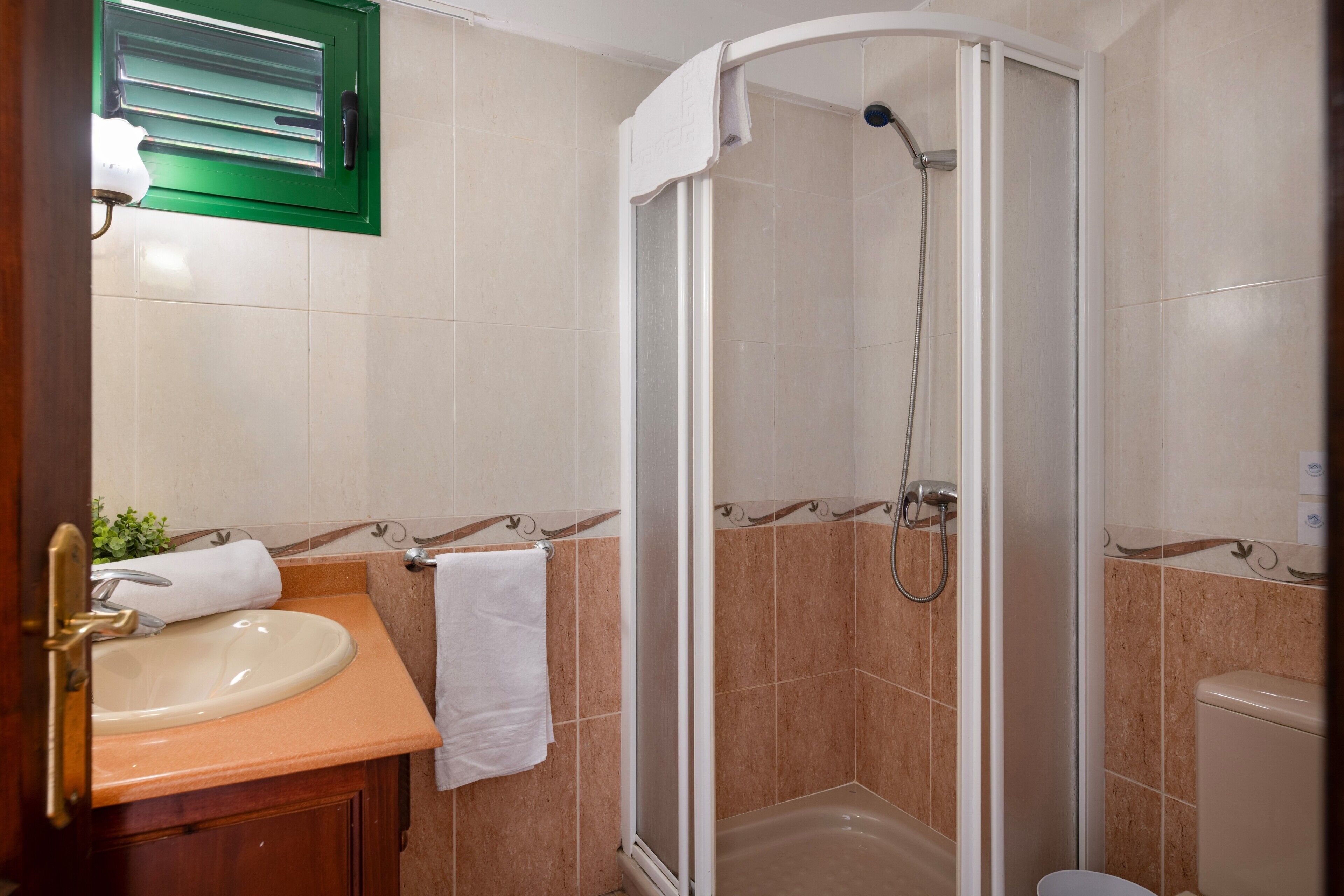 Shower, hair dryer, towels