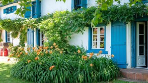 Een gebouw met blauwe luiken, een tuin met oranje bloemen en een pad van bakstenen.