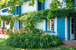Un edificio con contraventanas azules, un jardín con flores anaranjadas y un camino de ladrillo.