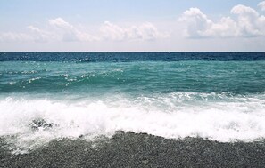 Pêche sur place