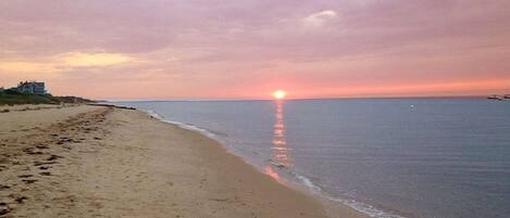 Camastros y toallas de playa