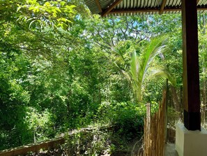 Property grounds - 5 min to the beach! Pure nature and safe - House in Guanacaste (Provincia de Guanacaste)