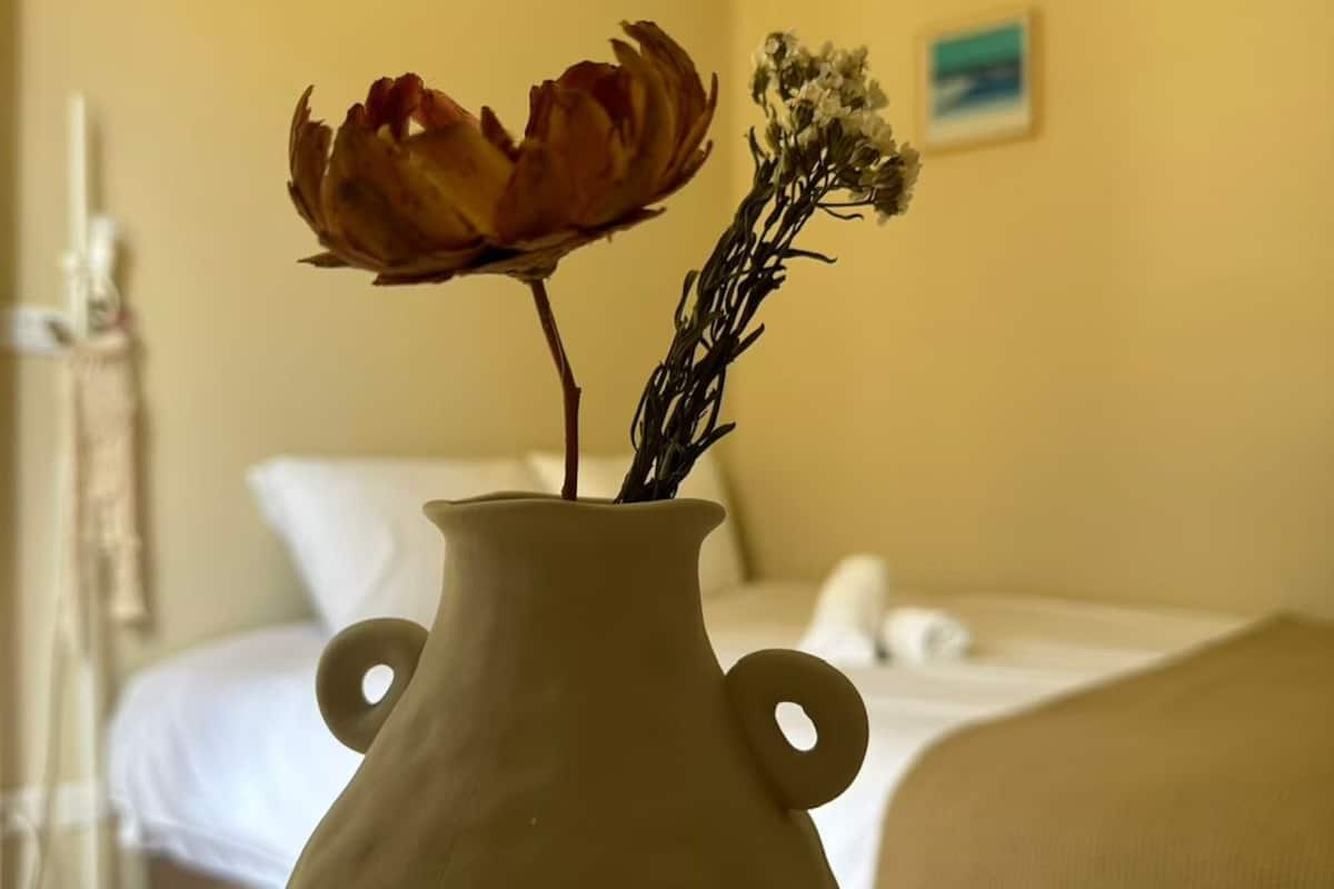 Comfort Twin kamer | Gratis wifi