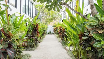 Taman
