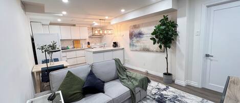 Smart TV, video library, computer monitors