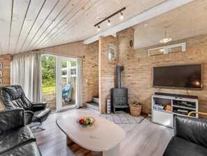 Fernseher, Kamin