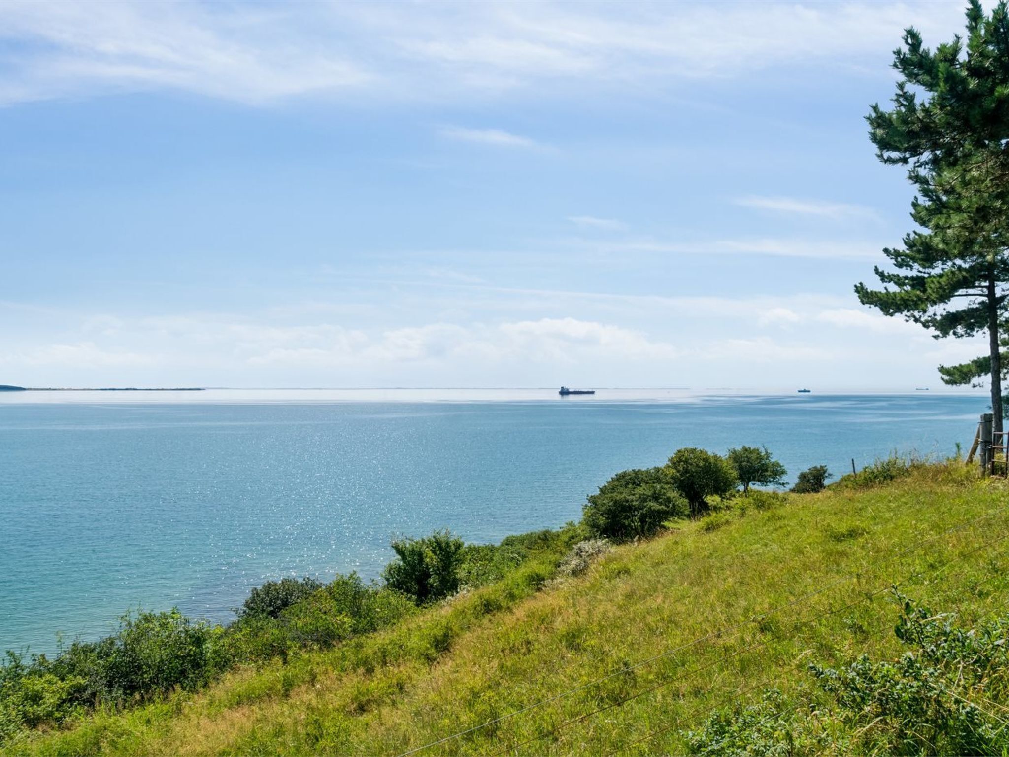 Een kustlandschap met een grasheuvel, een dennenboom en een rustige zee.