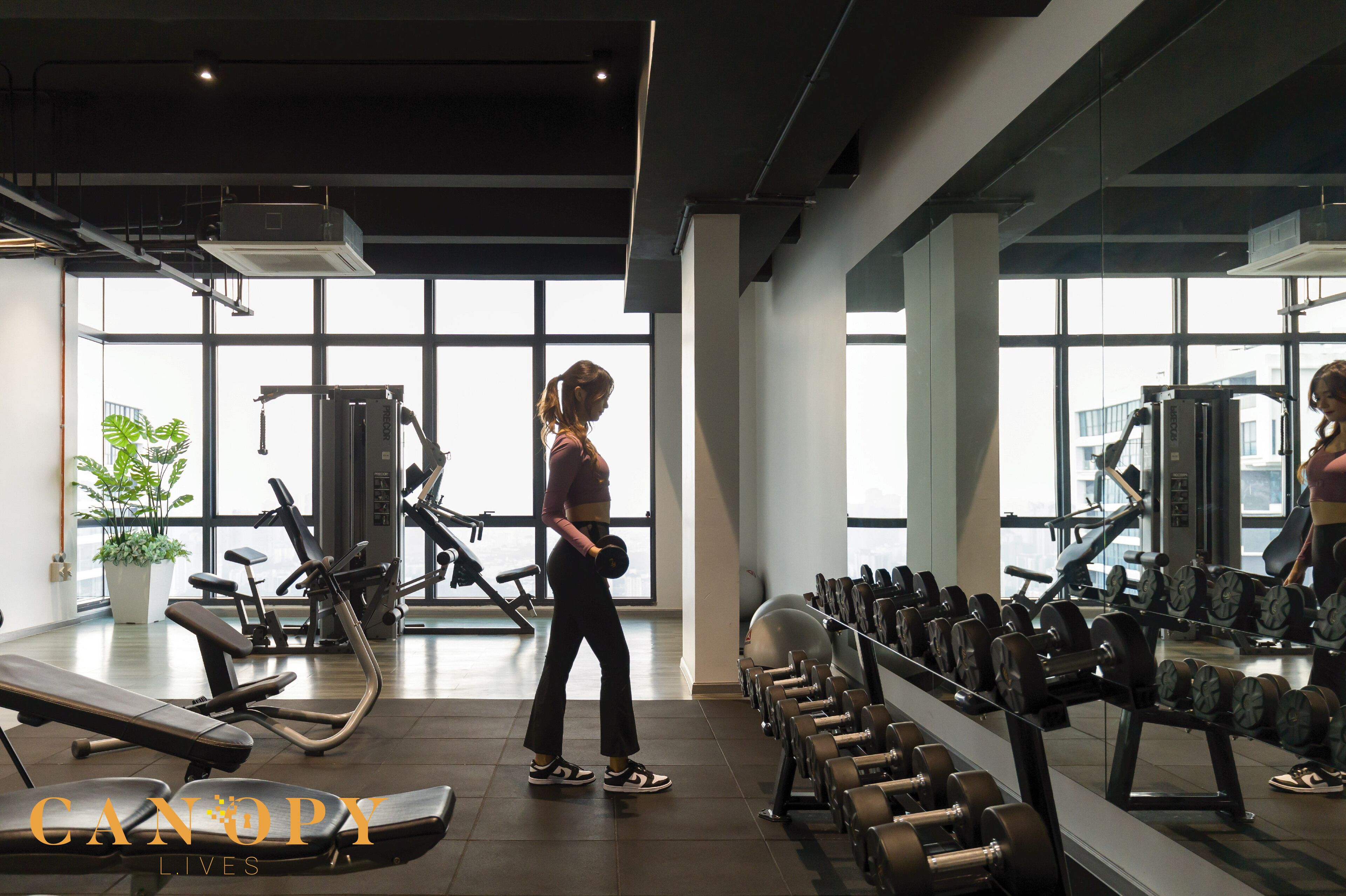 A gym with exercise equipment, large windows, and a potted plant.