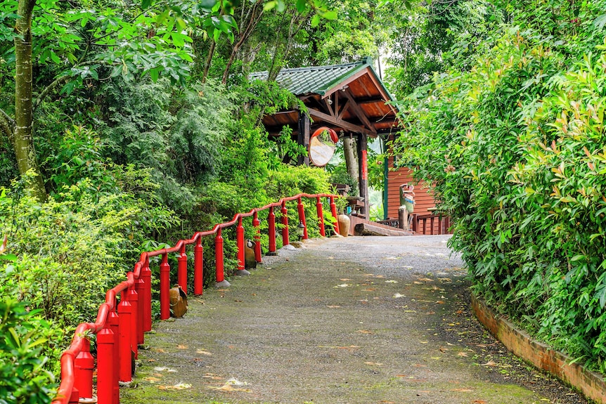 自然山居民宿評價、特色體驗、房價資訊、訂房連結 – 靜謐自然與親切服務 - 照片 12