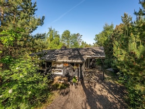 A cabin with a gravel driveway, surrounded by dense forest.