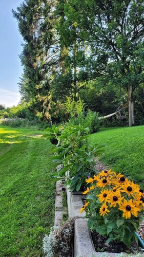 Holiday Home 'Bienenhaus' with Private Terrace, Private Garden and Wi-Fi