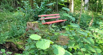 Ferienhaus 'Bienenhaus' mit privater Terrasse, privatem Garten und WLAN