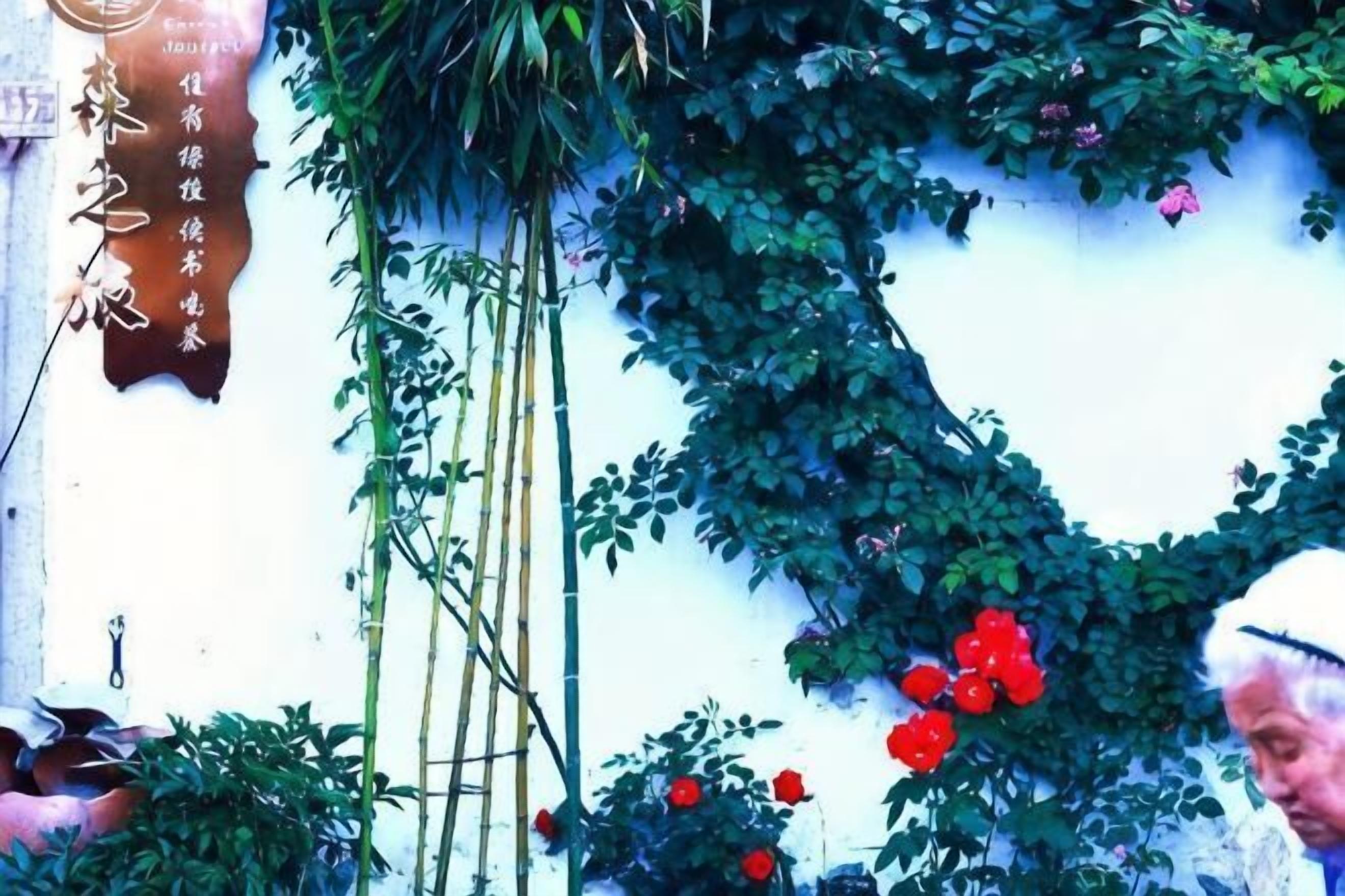 A wall with climbing plants and a sign.