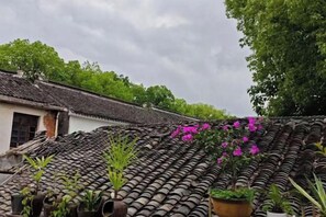 Vista da propriedade