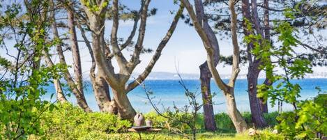 Àrea exterior de l'allotjament