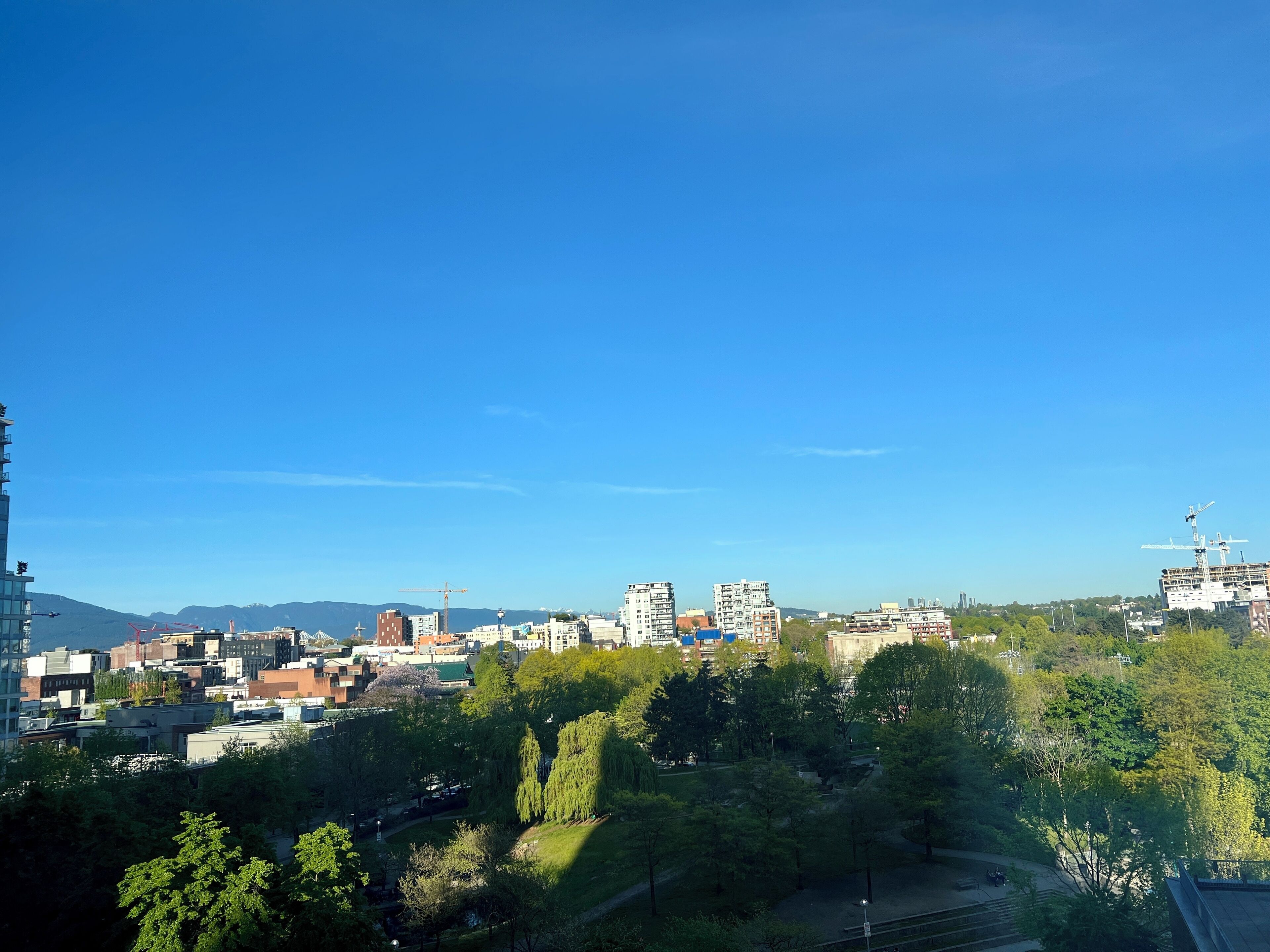Eine Stadtansicht mit einer Mischung aus Wohn- und Geschäftsgebäuden, blauem Himmel und einem Park mit Bäumen.