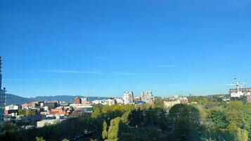 A cityscape with a mix of residential and commercial buildings, a clear blue sky, and a park area with trees.