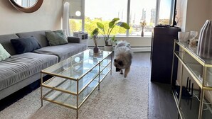 A modern living room with a sofa, a glass coffee table, a small dog, and a large window with a view of buildings and trees.