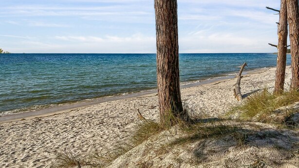 A beach with sand and sparse vegetation, a clear sky, and calm water. - "Ava" - 850m from the sea by Interhome (Nexø)