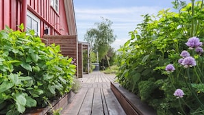Un chemin en bois mène à un bâtiment rouge doté d’une terrasse en bois et de jardinières surélevées de chaque côté.