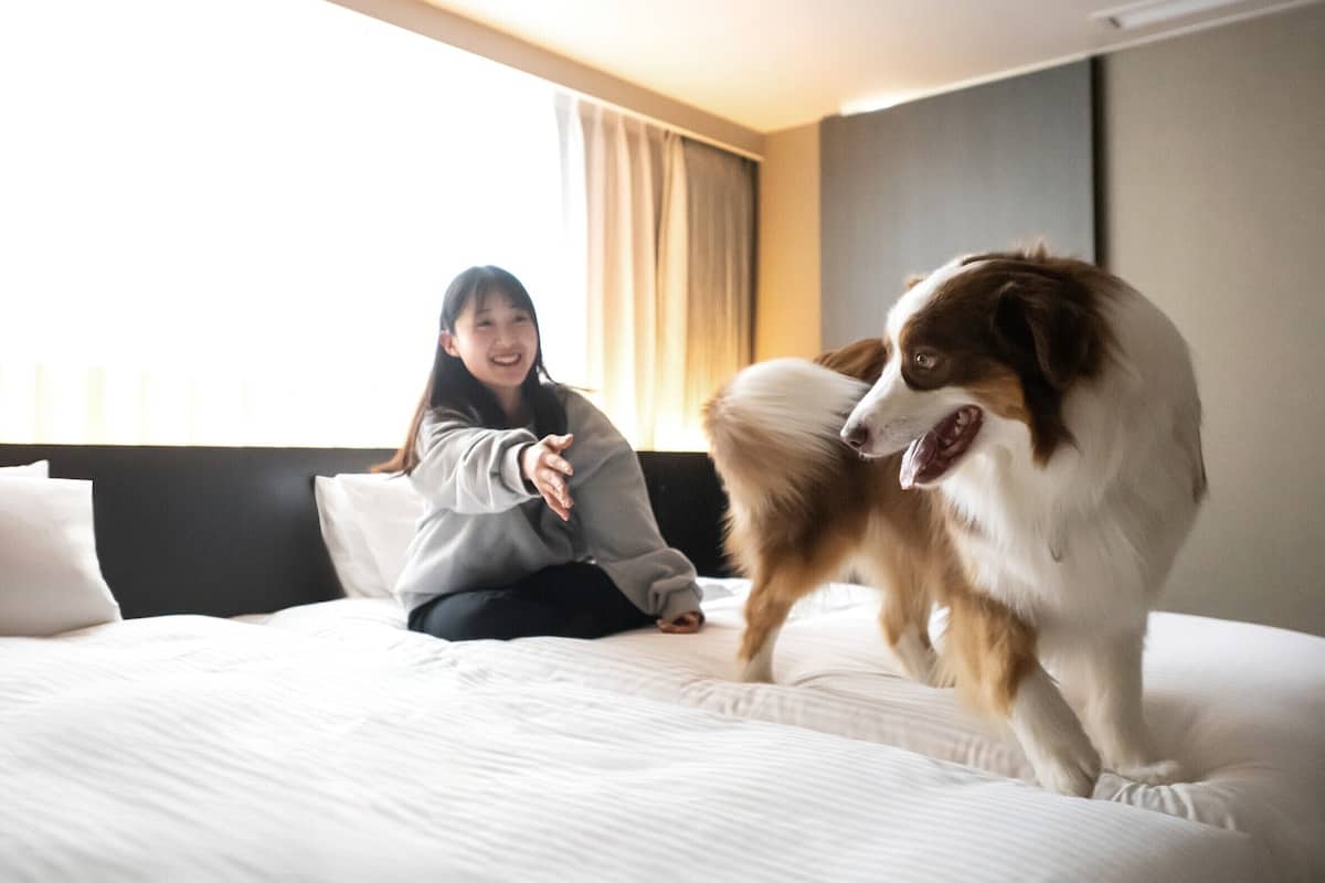 Eine Person sitzt auf einem Bett, neben ihr steht ein Hund.