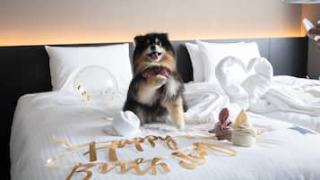 Pet-friendly amenities