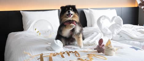 Pet-friendly amenities