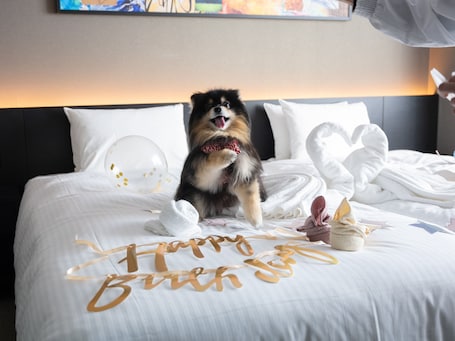 Servicios para mascotas