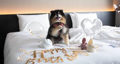 hotel anddoggy Kyoto Nijo