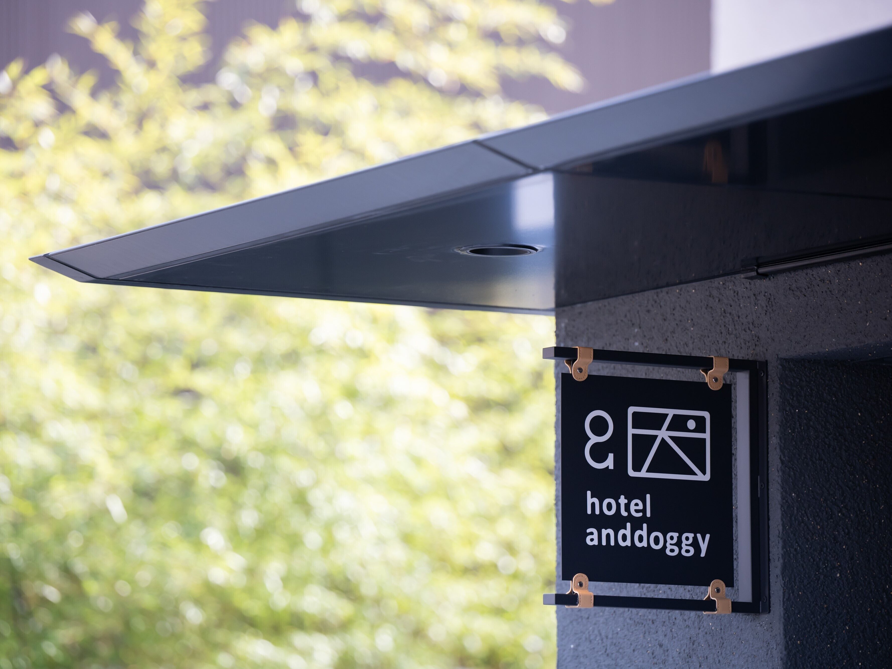 A hotel sign with a wheelchair symbol and the name "hotel anddoggy".