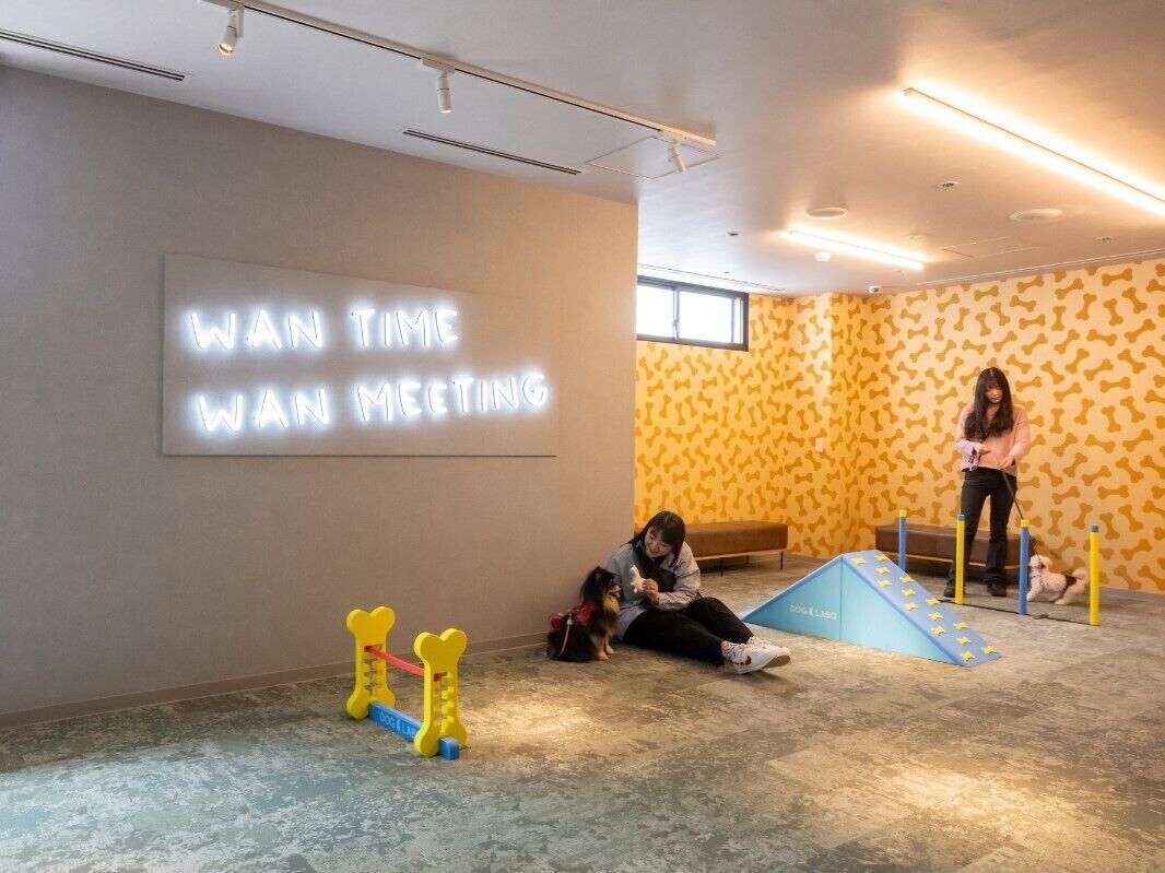 A room with a large wall sign, a ramp, and a dog agility toy.