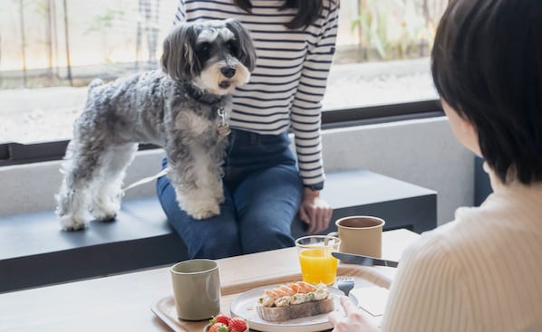 A person sitting on a bench with a dog beside them, a table with food and drinks, and a window with a view of the outdoors.