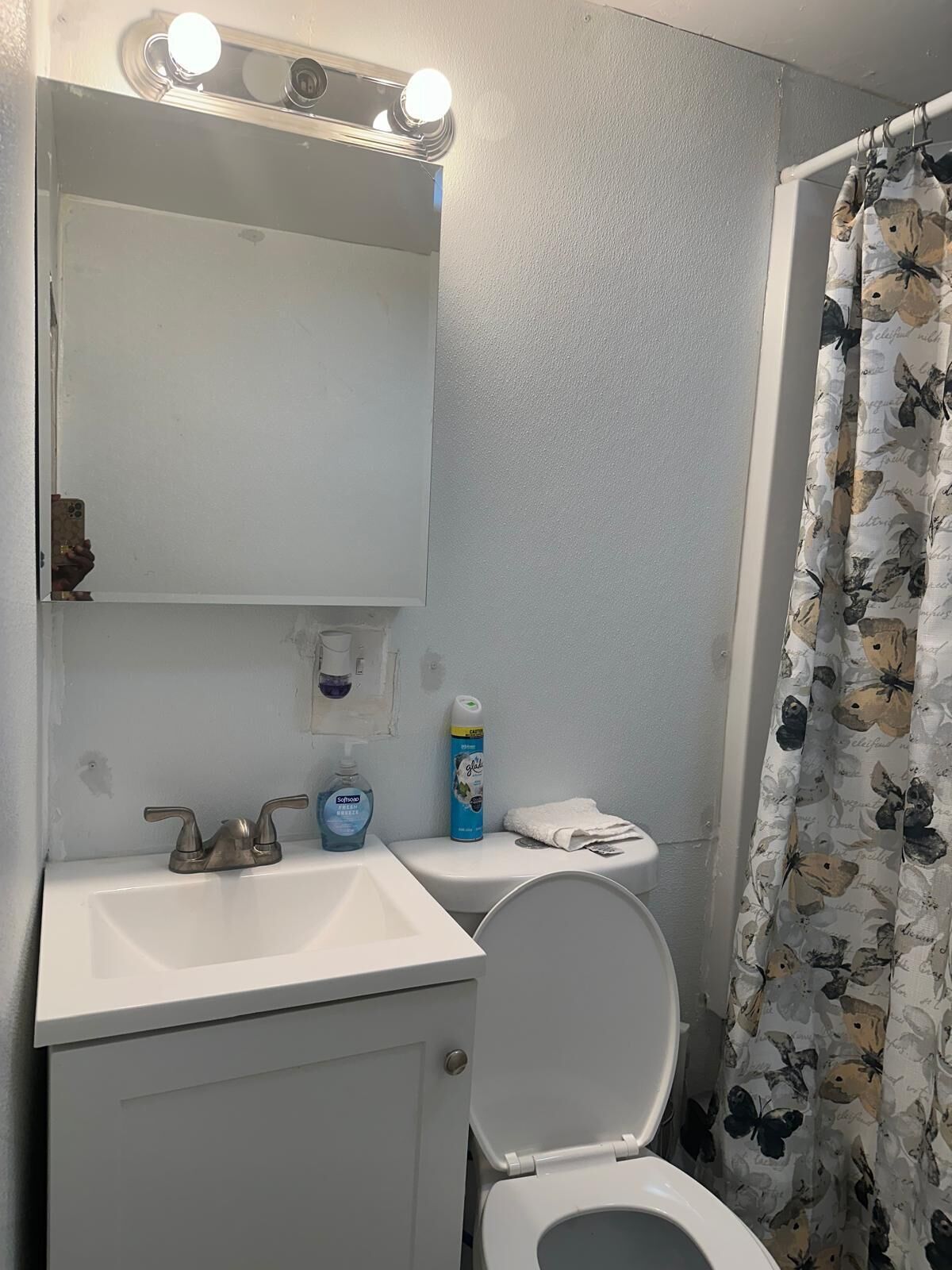 Une salle de bain avec un lavabo blanc, un miroir surmonté de lampes, des toilettes et un rideau de douche orné d’un motif de papillons.
