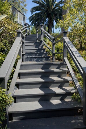 Un conjunto de escaleras exteriores con barandillas, rodeado de follaje y palmeras.