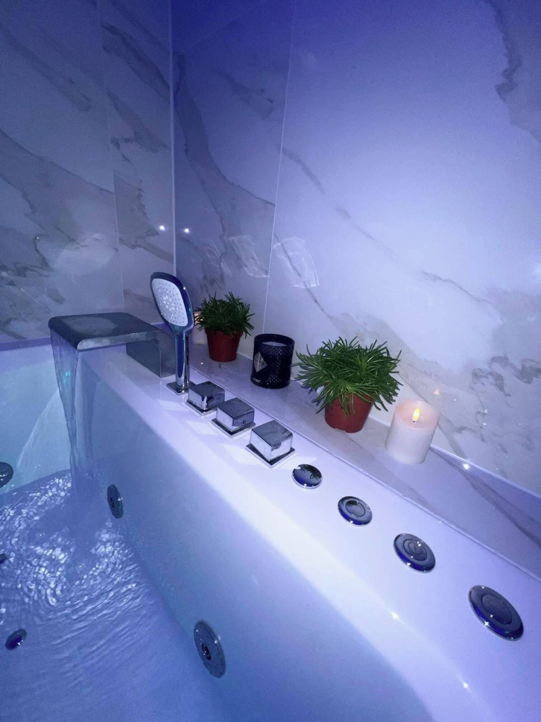 A bathroom with a bathtub, a mirror, and potted plants.